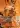 Endeavor Chrome Rare