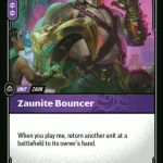Zaunite Bouncer
