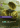 Seal of Discord
