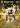Stardust Cookie