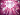 Soul Jam: Light of Passion